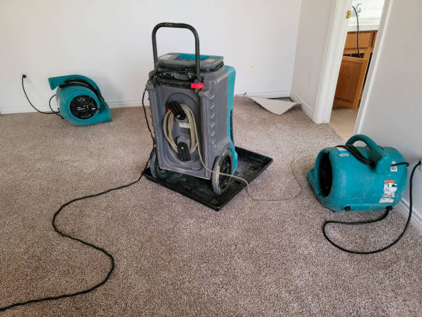 Best Water damage restoration process  in Rustburg, VA