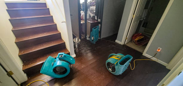 Best Flood damage cleanup  in Rustburg, VA