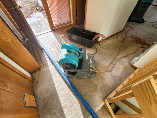 Best Water damage restoration specialists  in Rustburg, VA