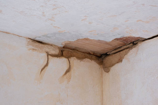 Best Water damage restoration near me  in Rustburg, VA