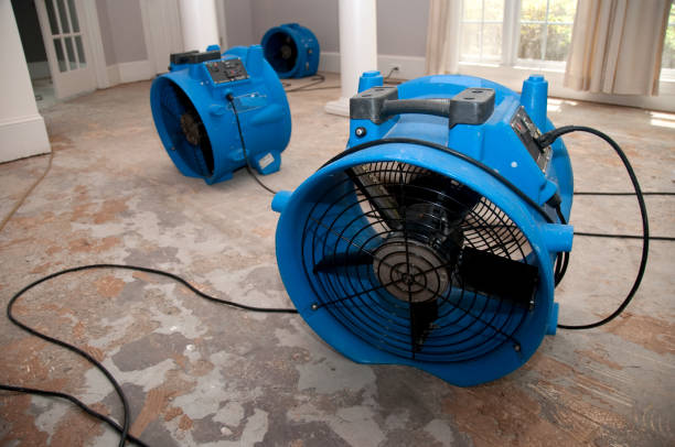 Best Flood restoration services  in Rustburg, VA