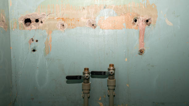 Best Basement water damage restoration  in Rustburg, VA