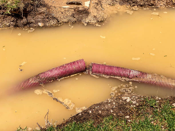 Water damage restoration insurance claims in VA