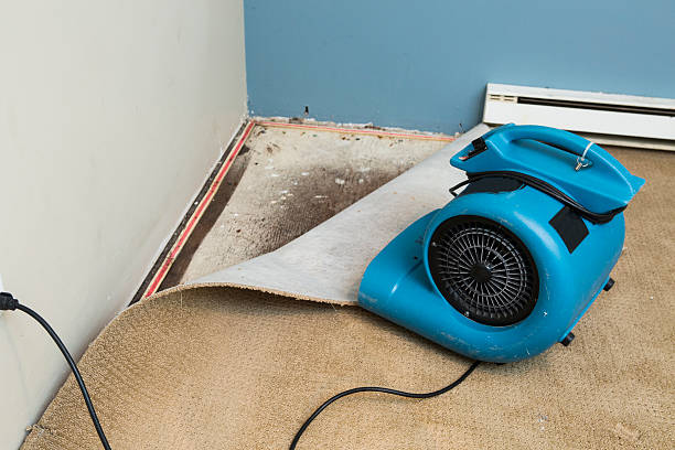 Best Water damage restoration cost  in Rustburg, VA